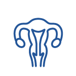 Female Urology & Reconstruction