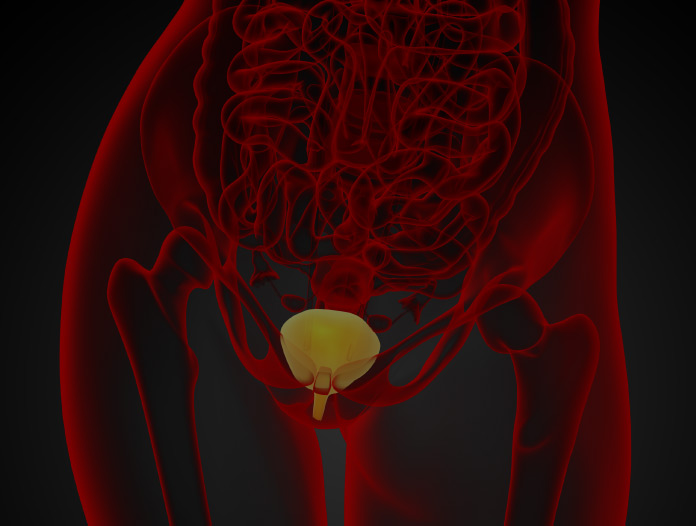 Neurourology & Female Urology