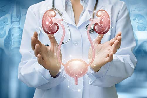 Urology Services